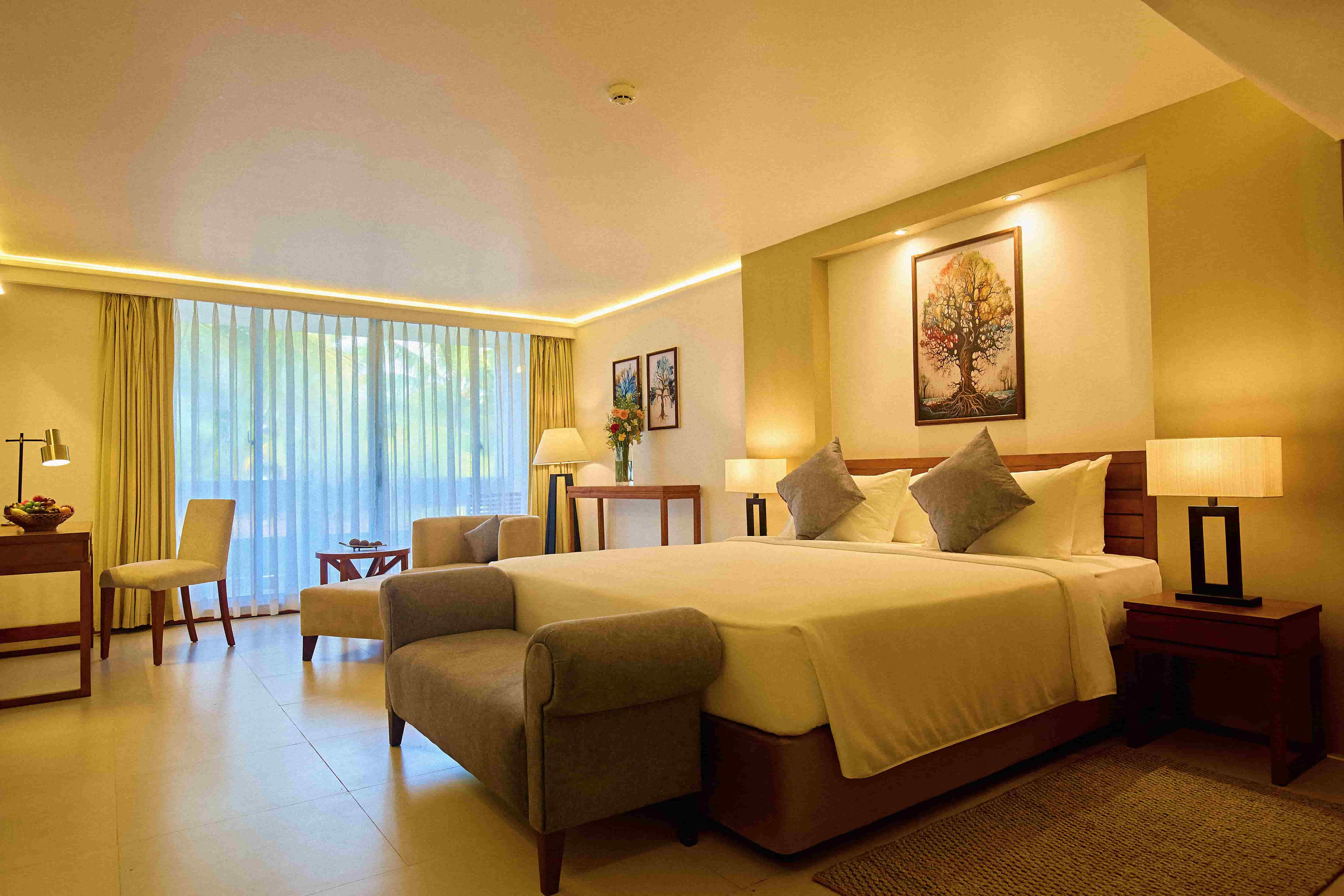 Premium Room
